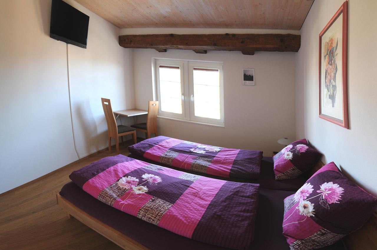 Bed And Breakfast Wegmann Andelfingen エクステリア 写真