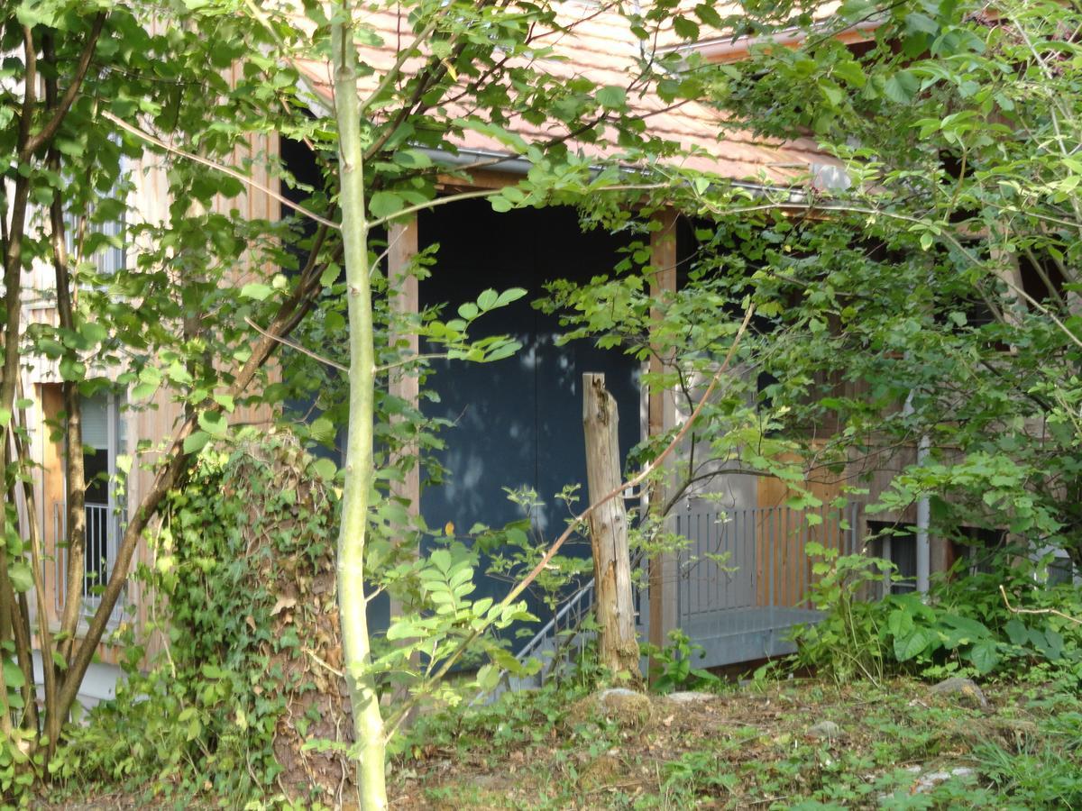 Bed And Breakfast Wegmann Andelfingen エクステリア 写真