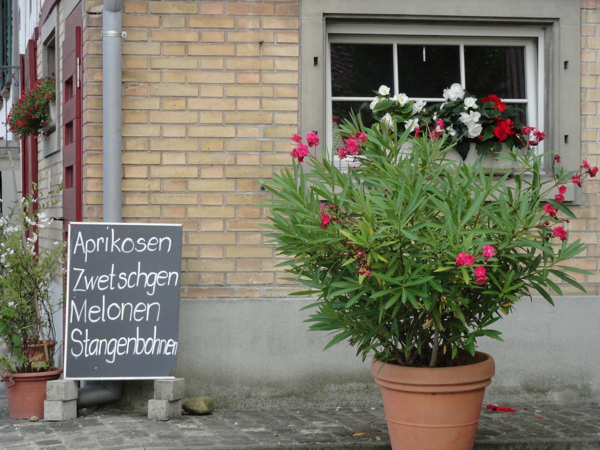 Bed And Breakfast Wegmann Andelfingen エクステリア 写真