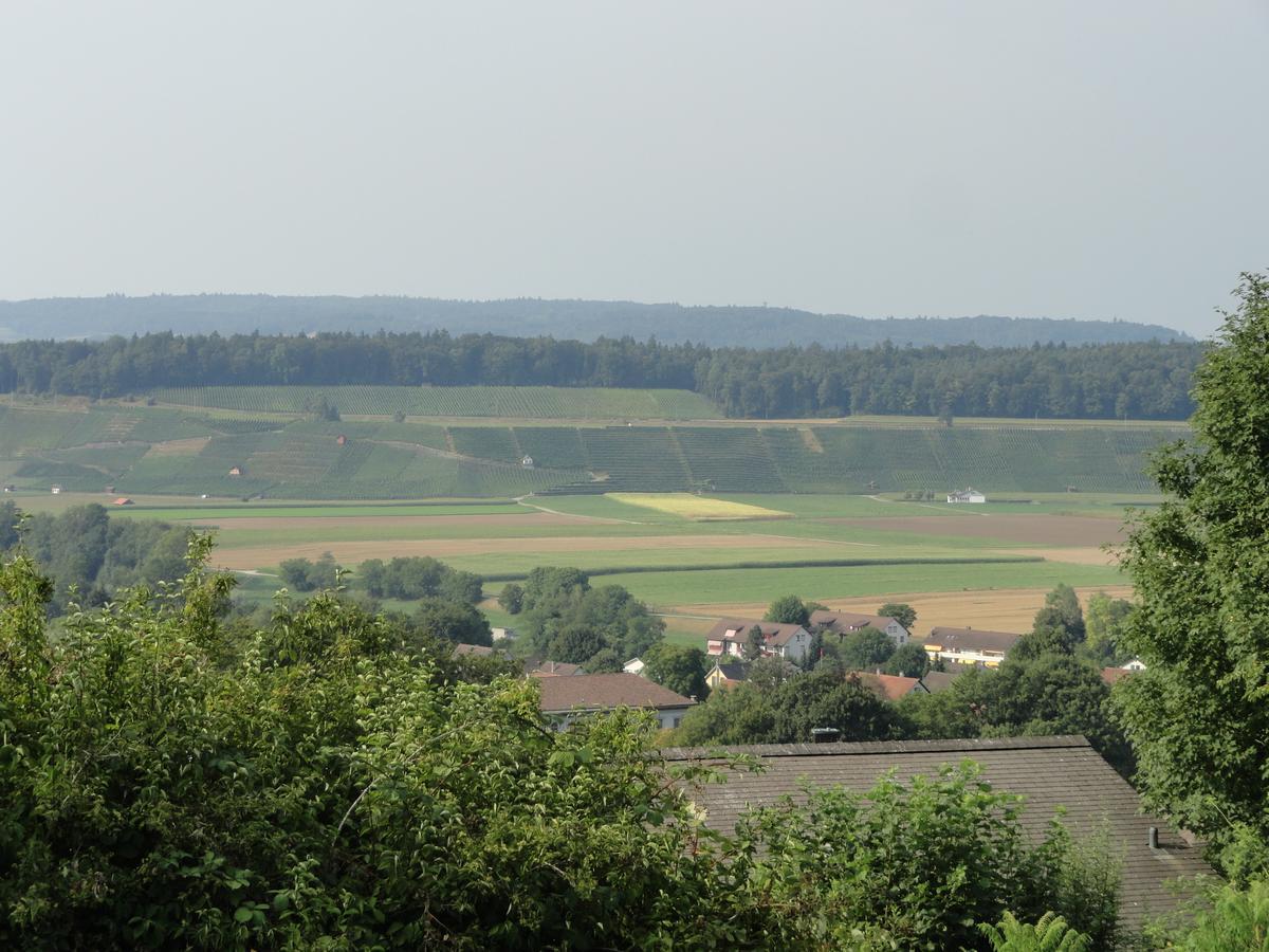 Bed And Breakfast Wegmann Andelfingen エクステリア 写真